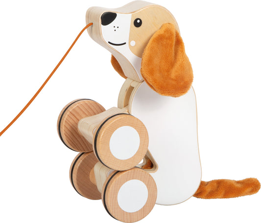 Nachziehtier Hund mit Knisterohren