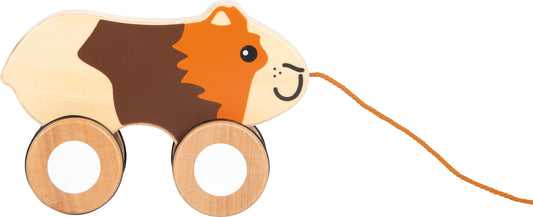 Nachziehtier Meerschweinchen