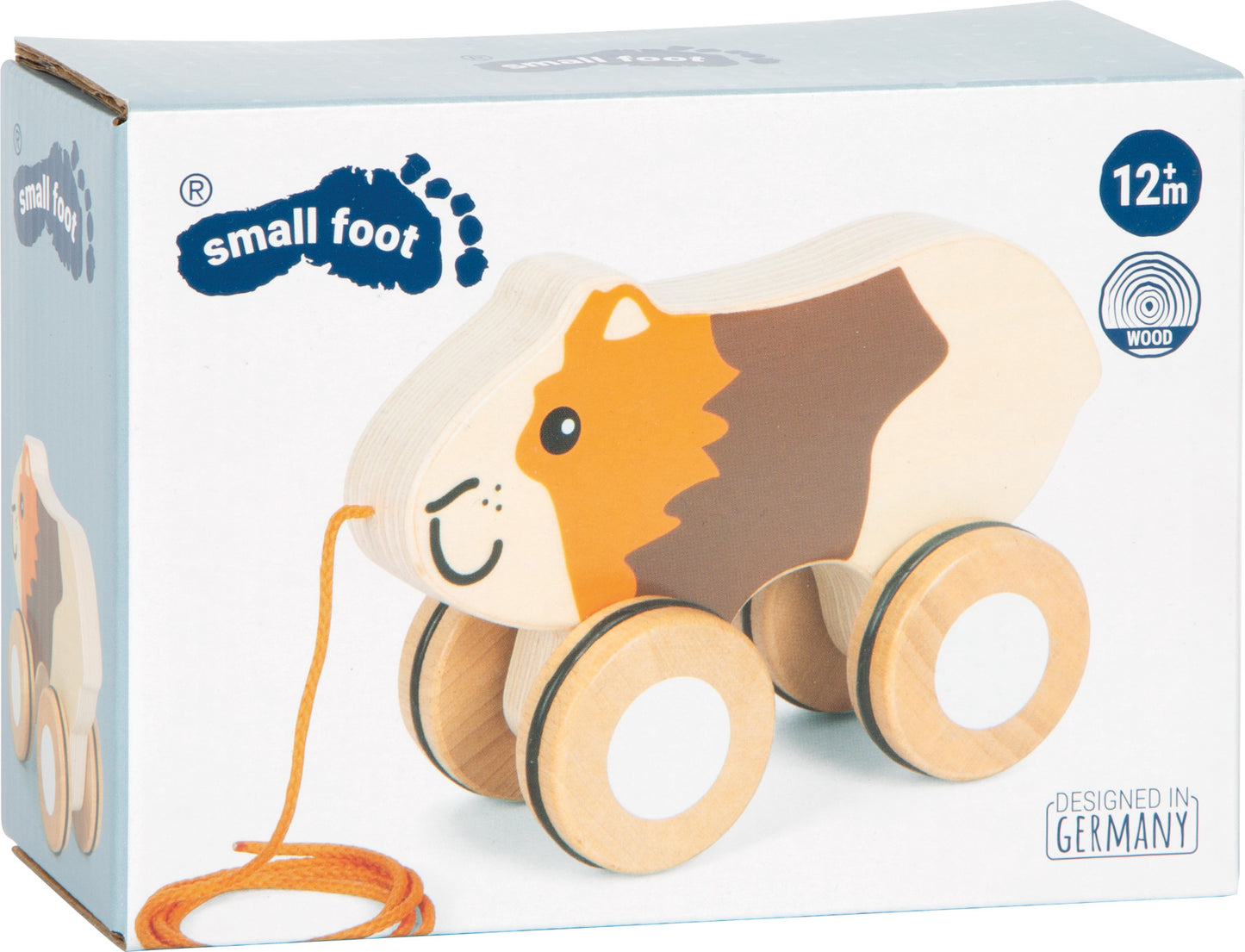 Nachziehtier Meerschweinchen
