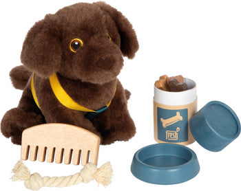 Hund oder Katze mit Tasche und Pflege-Set