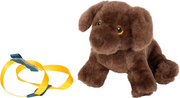 Hund oder Katze mit Tasche und Pflege-Set