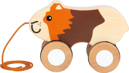 Nachziehtier Meerschweinchen