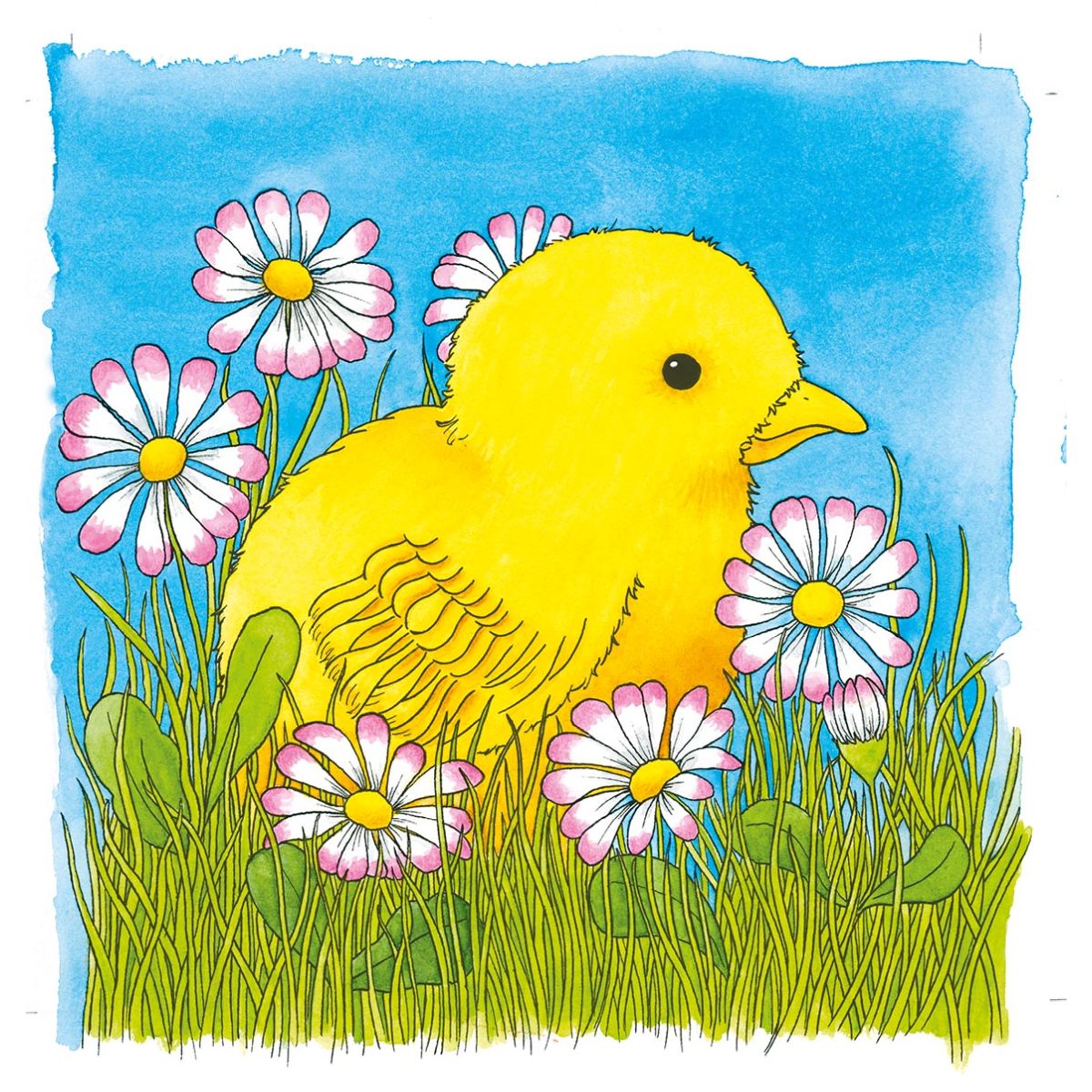 Schichtenpuzzle Das Huhn