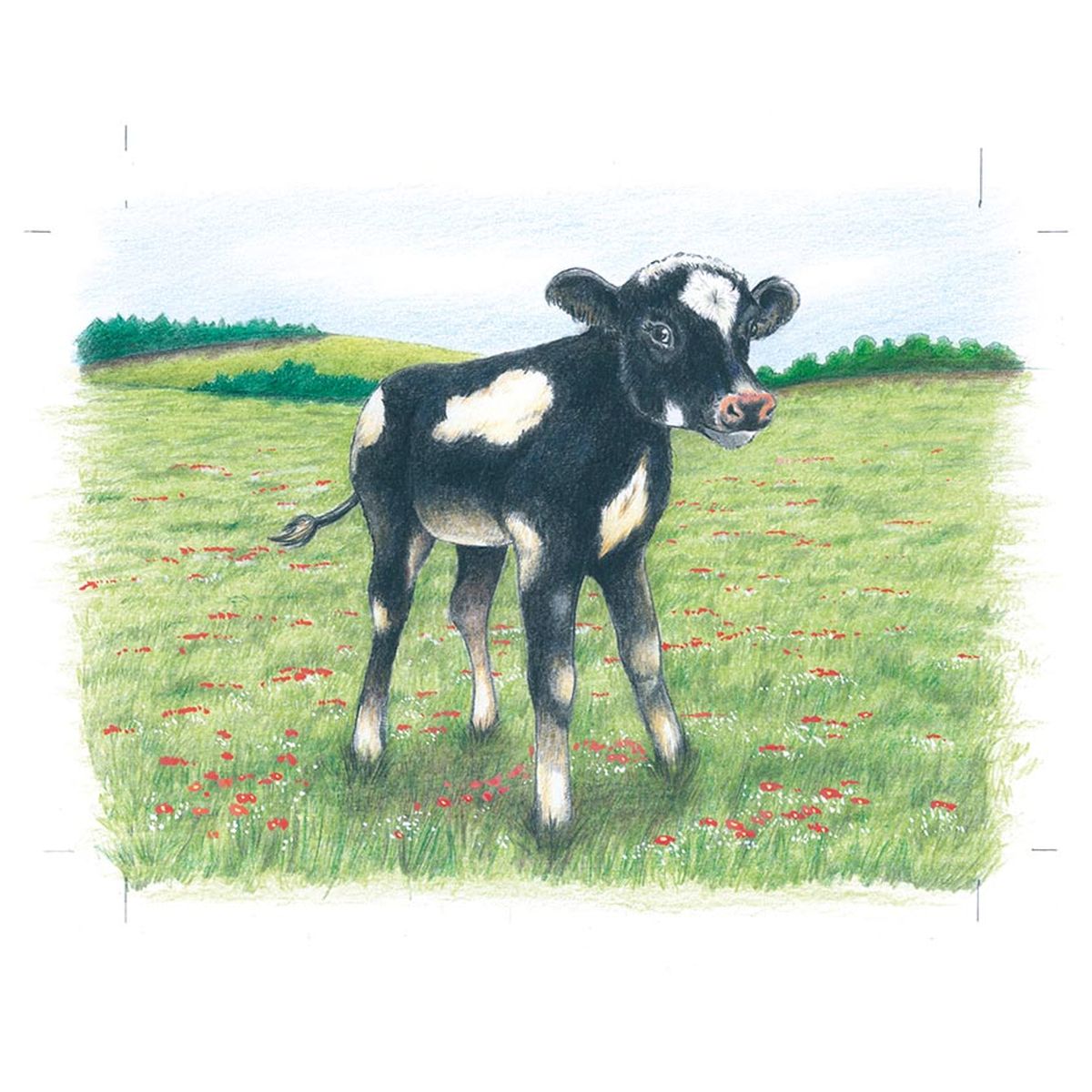 Würfelpuzzle Bauernhoftiere