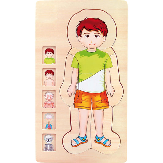 Schichtenpuzzle Anatomie Junge